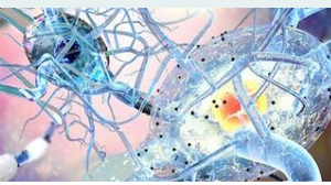 Groundbreaking Drug for Treating 2 Rare Forms of Epilepsy Available