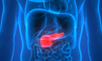 pancreas