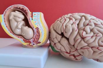 Childhood Development, Maternal Distress, Gestation