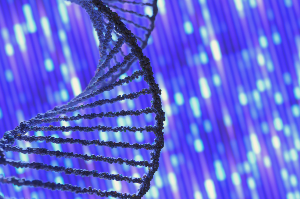 genetic sequence 