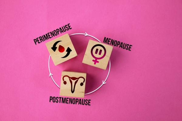 CagriSema, Menopause Stages, Hormone Therapy