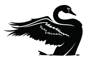 Black Swan