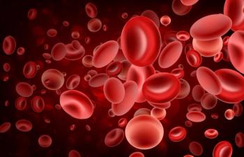 blood cells 