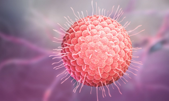 Varicella Zoster virus