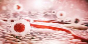 Cancer cells