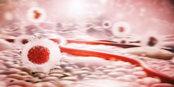 Cancer cells