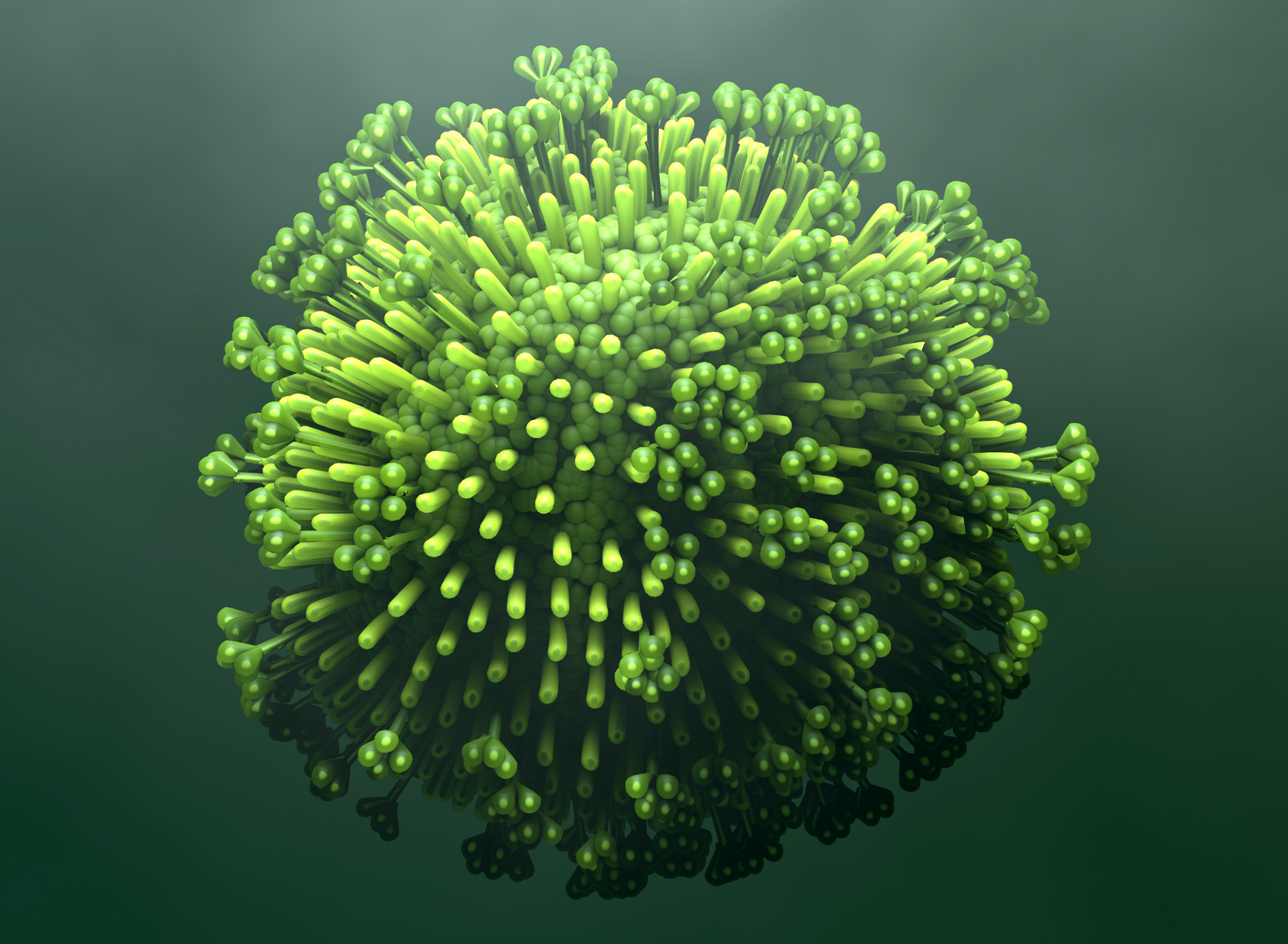 Influenza