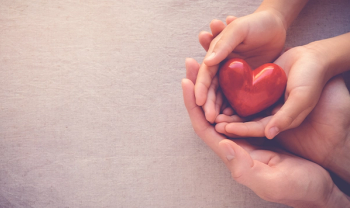 hands holding heart 