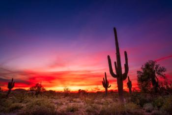 phoenix arizona | Image Credit: JSirlin - stock.adobe.com