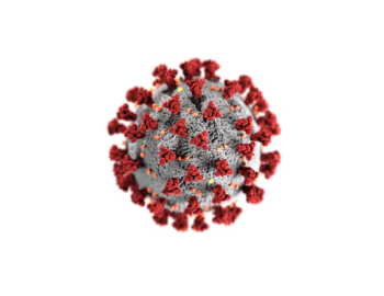 SARS-CoV-2