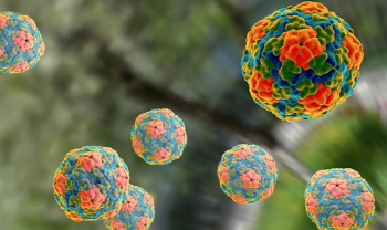 hepatitis a virus