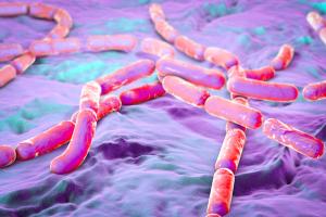 Pneumonia Drug Recalled Due to Potential Bacillus cereus Contamination