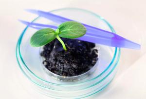 biologic reference product 