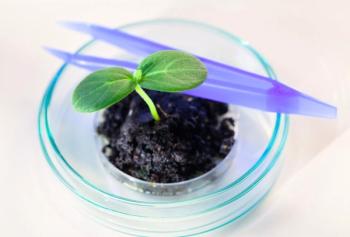 biologic reference product