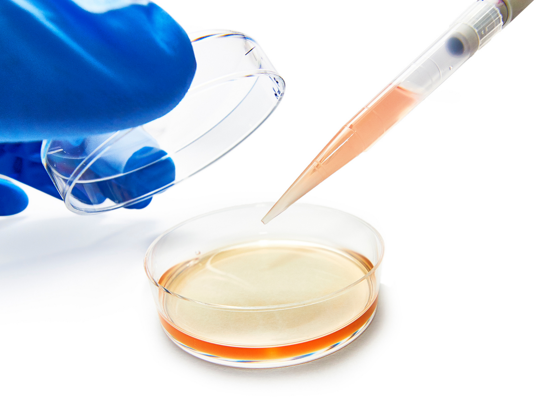 cancer research