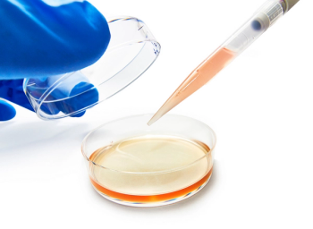 cancer research