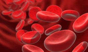 Study: DOACs Equal to or Better Than Warfarin