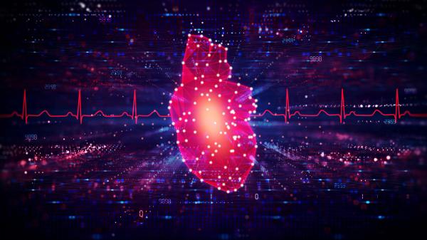 The Role of the Pharmacist in Health Disparities in Cardiometabolic Disease