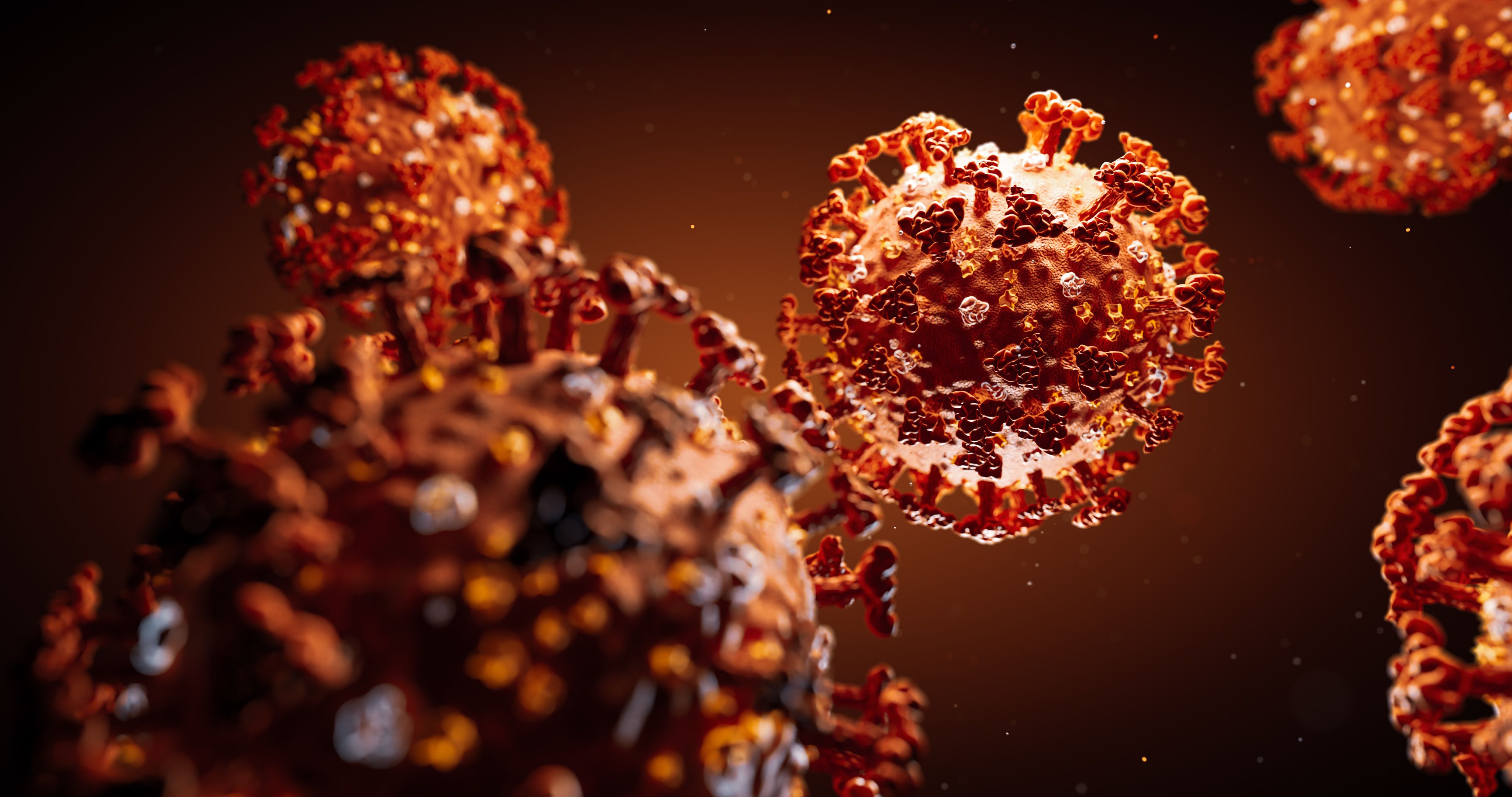 COVID-19 virus