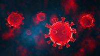 CDC Will Focus on BA.2.3 COVID-19 Variant for Upcoming Respiratory Season