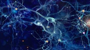 Direct-to-Consumer Pharmacies May Reduce Total Prescription Price for Neurological Medication