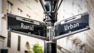 Evaluating Multiple Myeloma Survival Rates by Race, Ethnicity, and Rural-Urban Location