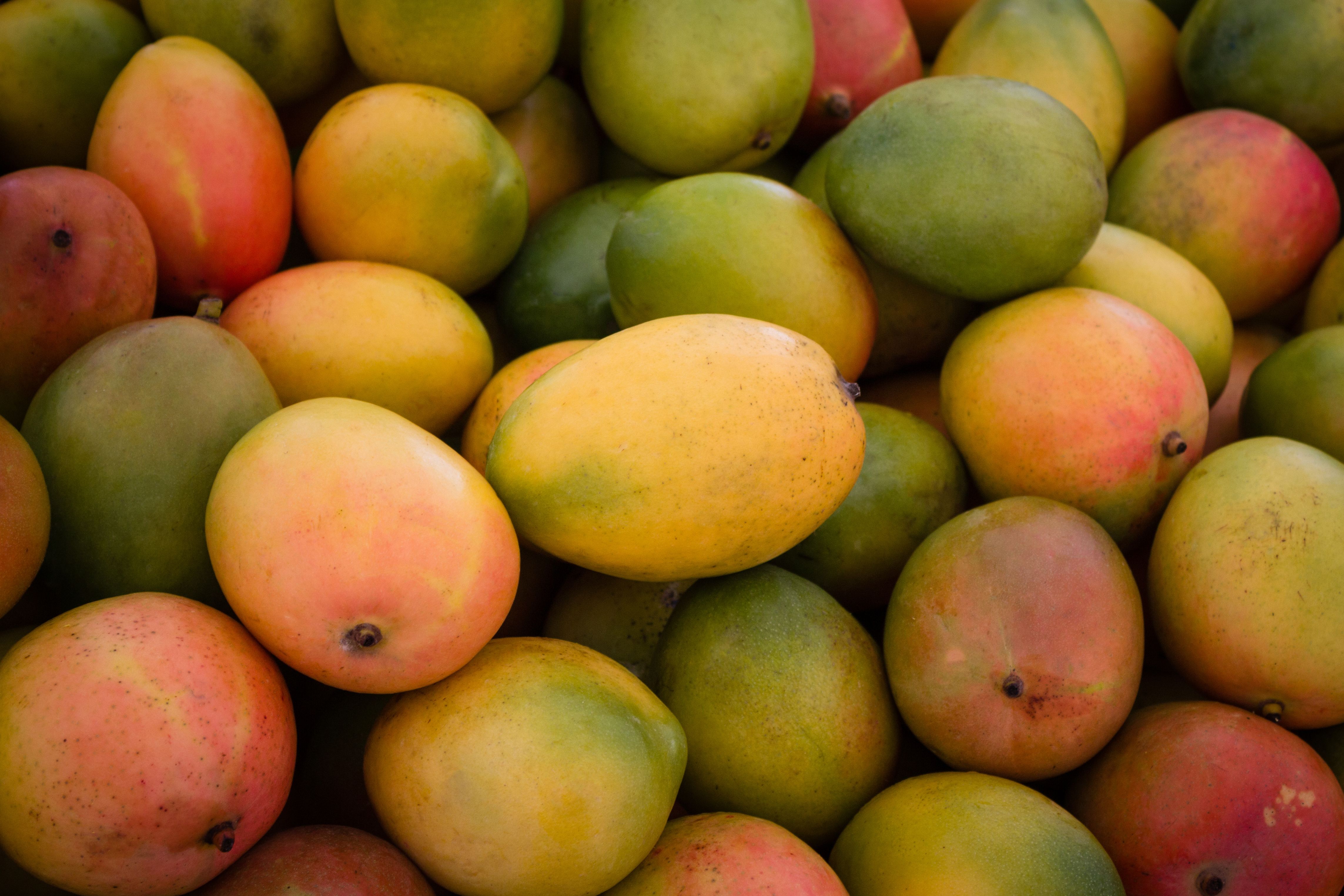 Mangos May Help Support Postmenopausal Heart, Metabolic Health Mangos May Help Support Postmenopausal Heart, Metabolic Health