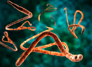 Ebola virus