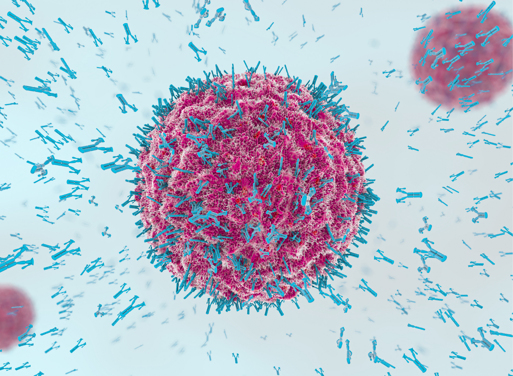 antibodies