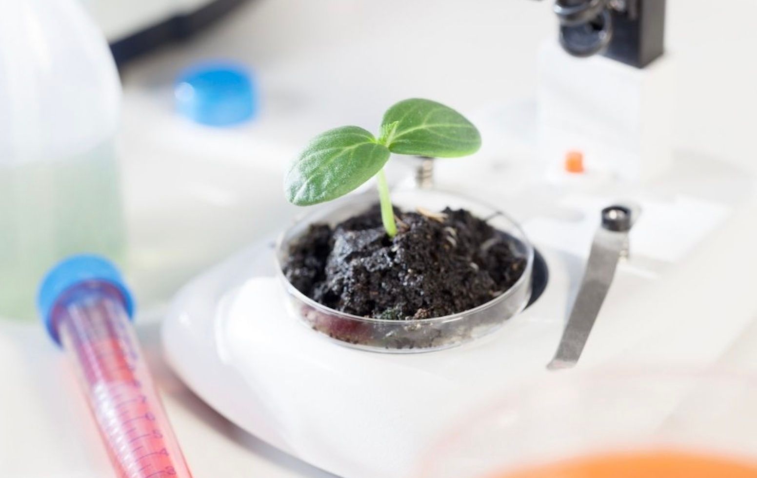 biologic reference product 