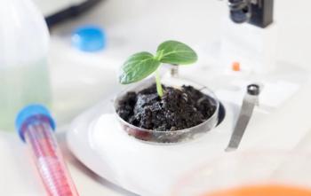 biologic reference product 