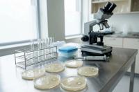 Indoor Air Sampling, Disease Surveillance, Invasive Pneumococcal Disease