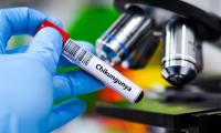 Review Details Chikungunya's Global Resurgence as US Surveillance Evolves