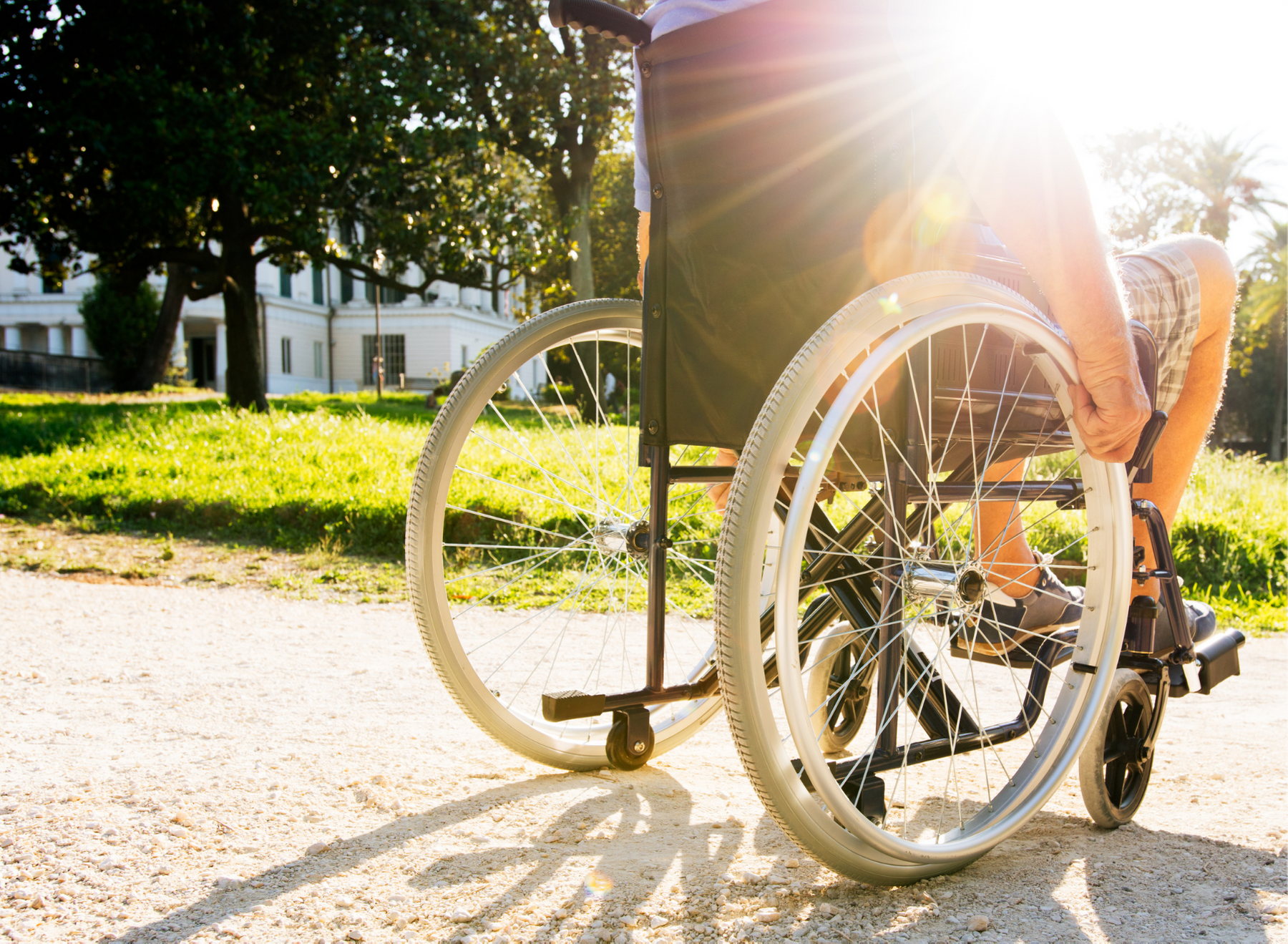 multiple sclerosis