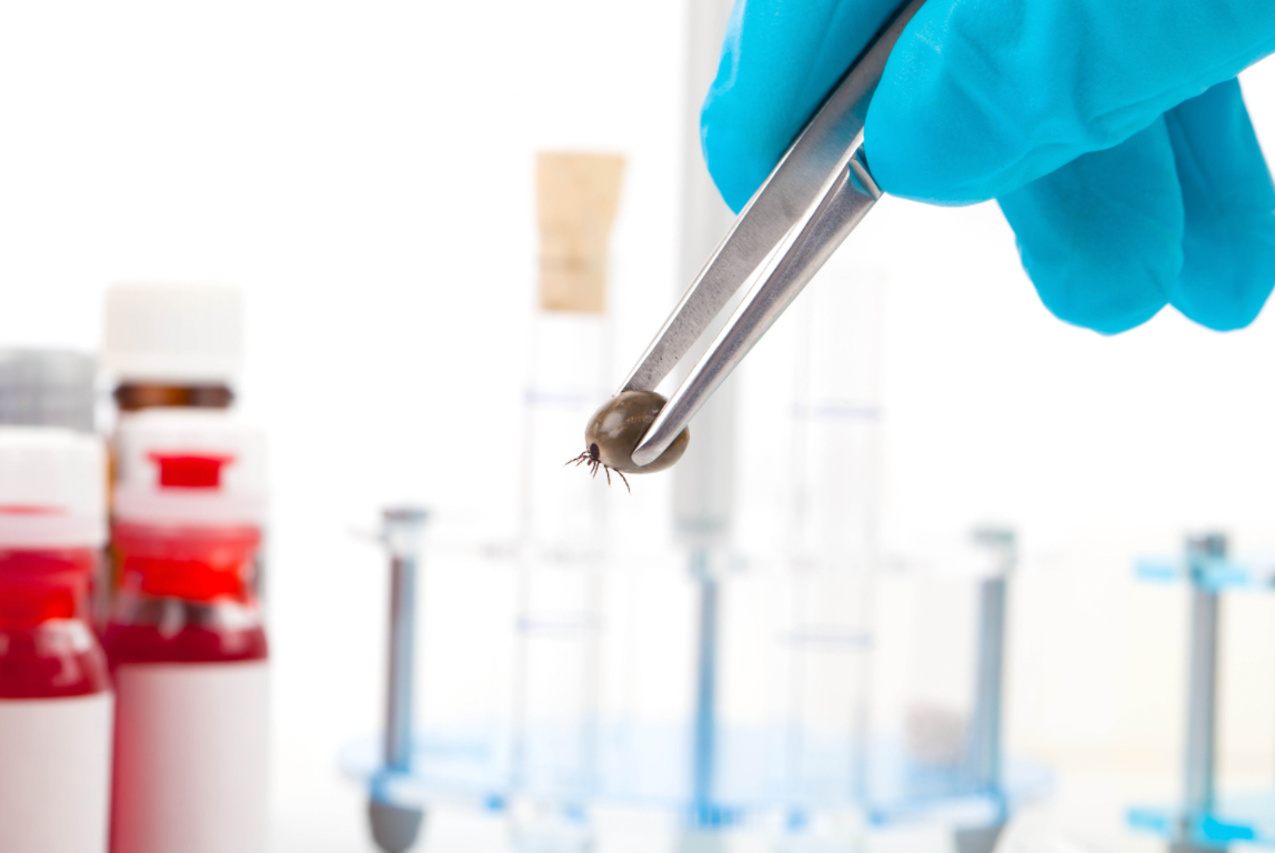 TICOVAC Vaccine To Prevent Tick Borne Encephalitis ticovac-vaccine-to-prevent-tick-borne-encephalitis