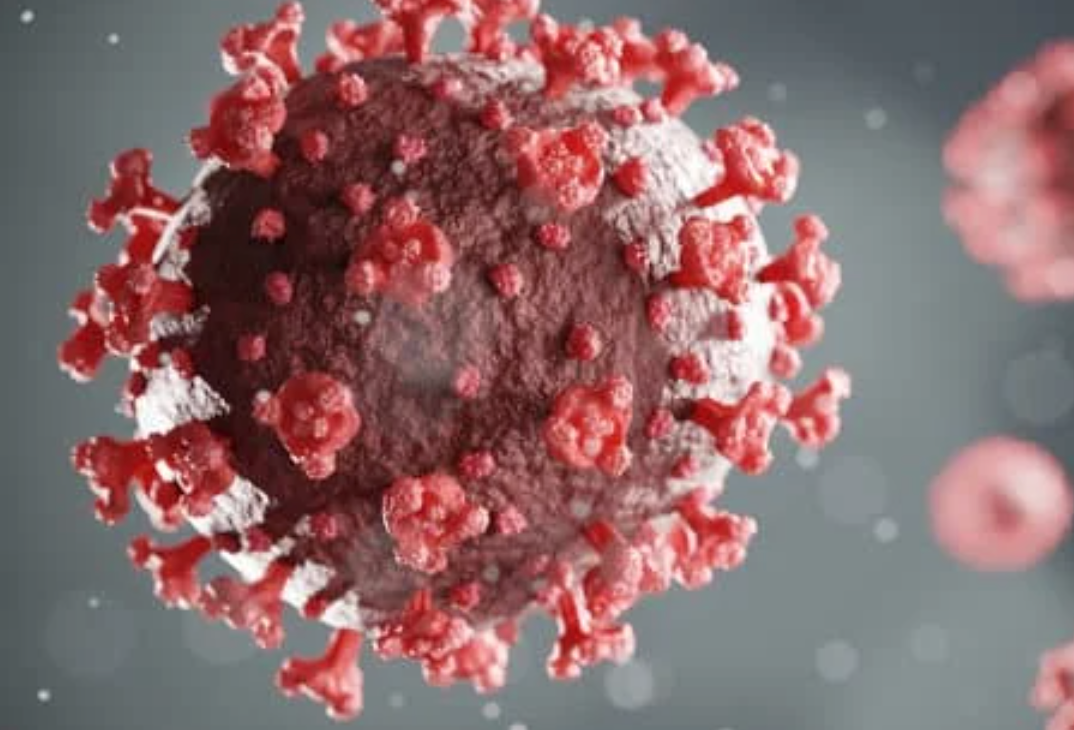 COVID-19 virus