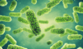 BACTERIA