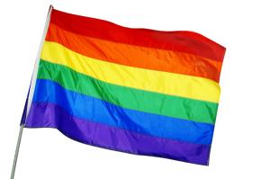 Depression a Consequence of Health Disparities Among Sexual Minorities