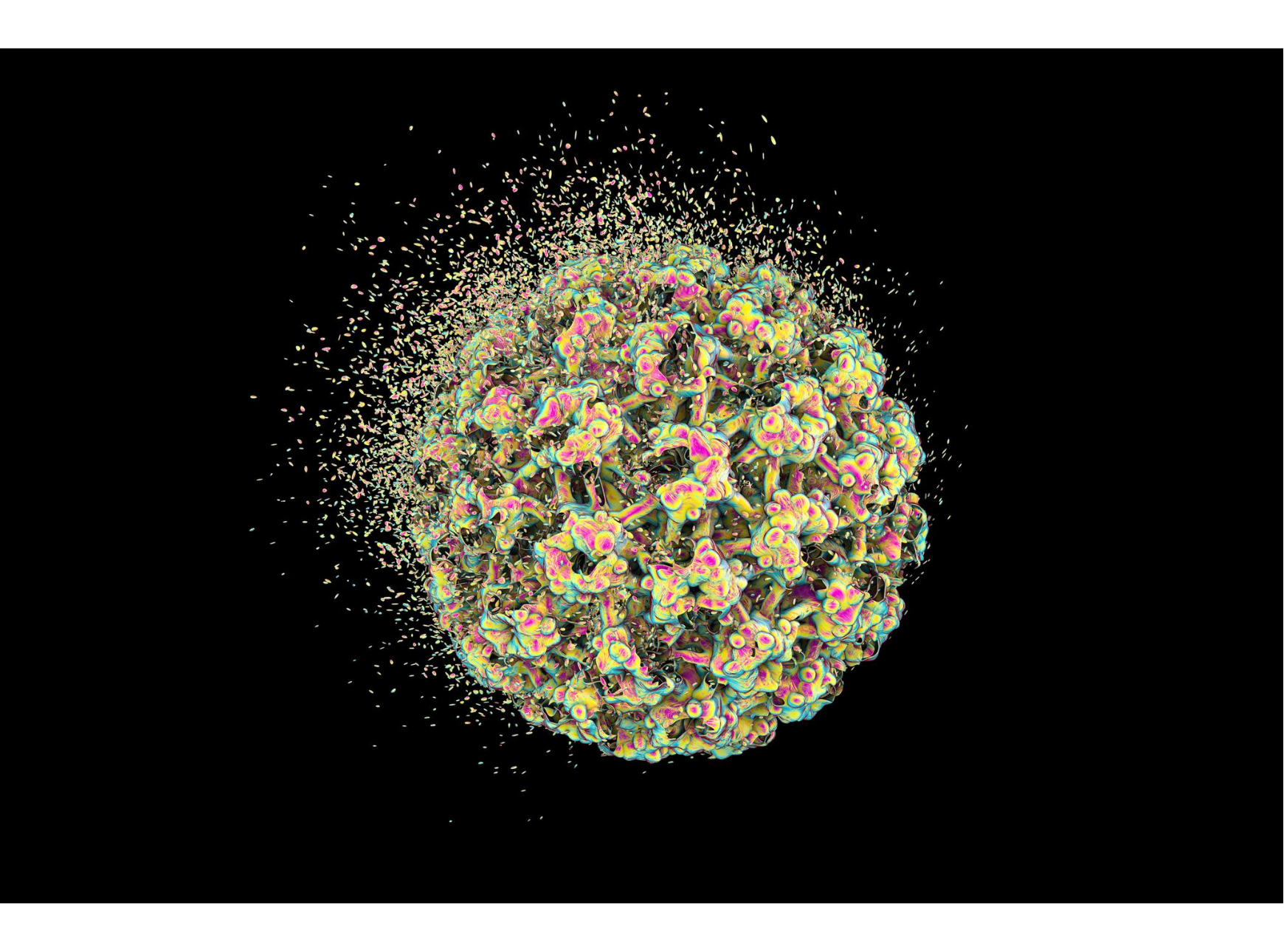 HPV