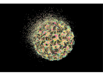 HPV