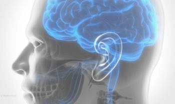 3D Brain