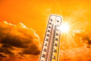Heat and Human Health: What Pharmacists Need to Know