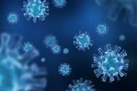 Pandemic-Era Household Stress Hit Nearly Half of Pregnant Women