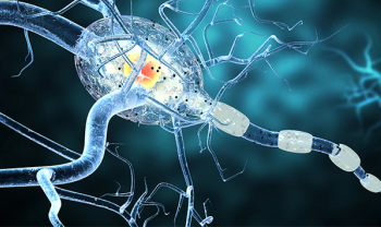 nerve illustration