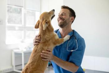 Why Price Transparency is Important for Consumers in Veterinary Medicine