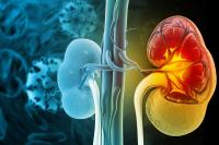 FDA Approves Finerenone for Chronic Kidney Disease With Type 1 Diabetes