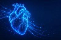 Medication Adherence, Cardiometabolic Health, Adverse Effects