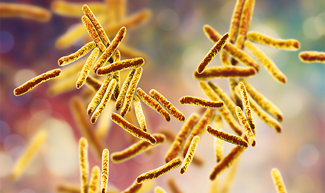Mycobacterium tuberculosis