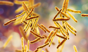 Mycobacterium tuberculosis
