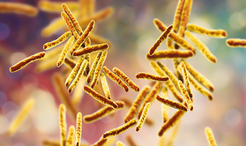 Mycobacterium tuberculosis